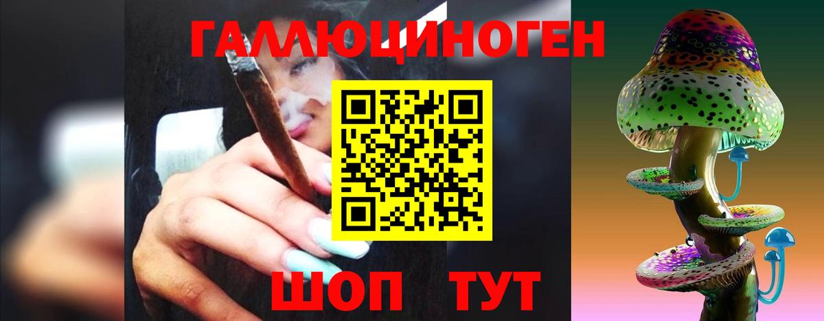Галлюциногенные грибы Magic Shrooms  Вход с VPN  Урюпинск  Псилоцибиновые грибы Magic Shrooms 